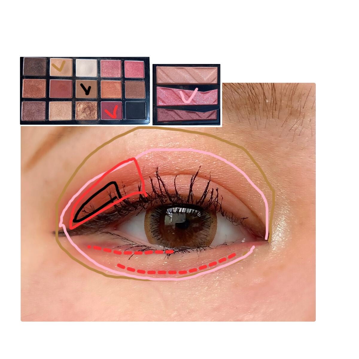 プレイカラーアイパレット レオパードランウェイ/ETUDE/アイシャドウパレットを使ったクチコミ(3枚目)