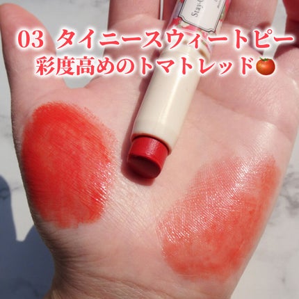 ステイオンバームルージュ(ティントタイプ)/キャンメイク/リップティントを使ったクチコミ(2枚目)