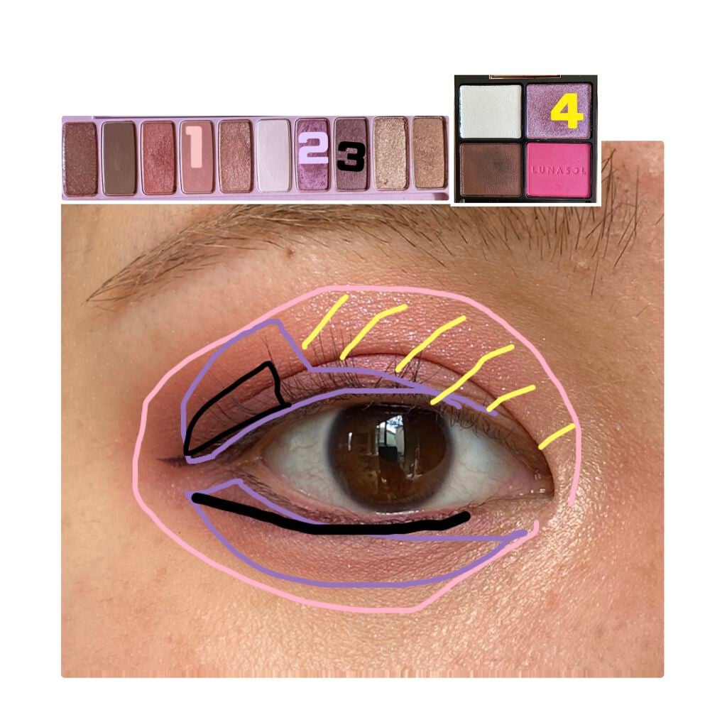 アイカラーレーション/LUNASOL/アイシャドウパレットを使ったクチコミ(2枚目)