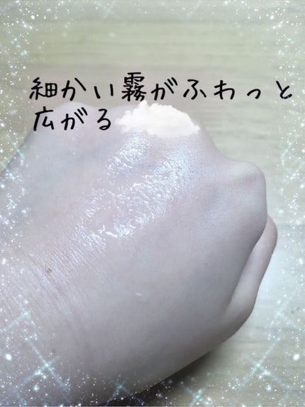 ハイドロミストN/plus eau/アウトバストリートメントを使ったクチコミ(2枚目)