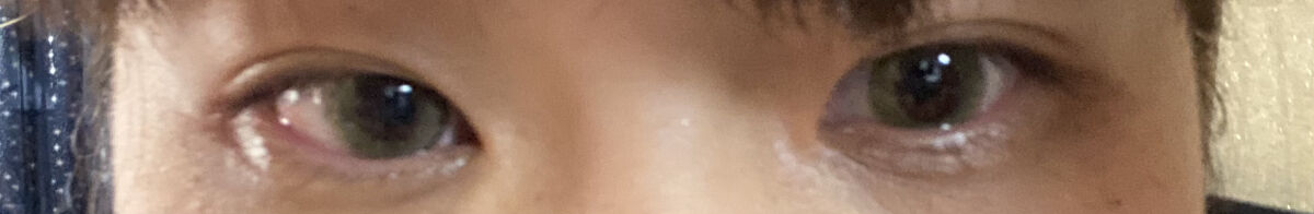 JILL STUART 1day UV オートクチュール オリーブ/JILL STUART/ワンデー（１DAY）カラコンを使ったクチコミ（2枚目）