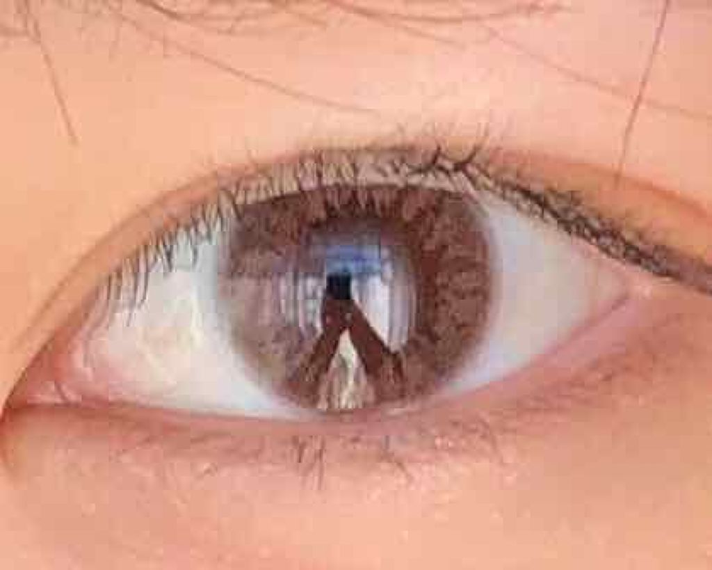 LA FILLE (ラ・フィーユ)/LA FILLE/カラーコンタクトレンズを使ったクチコミ(1枚目)