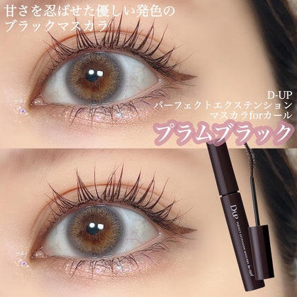 パーフェクトエクステンション マスカラ for カール/D-UP/マスカラを使ったクチコミ(1枚目)