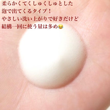 ボドルチョ ウォッシュパック/AMIOK/洗い流すパック・マスクを使ったクチコミ(7枚目)