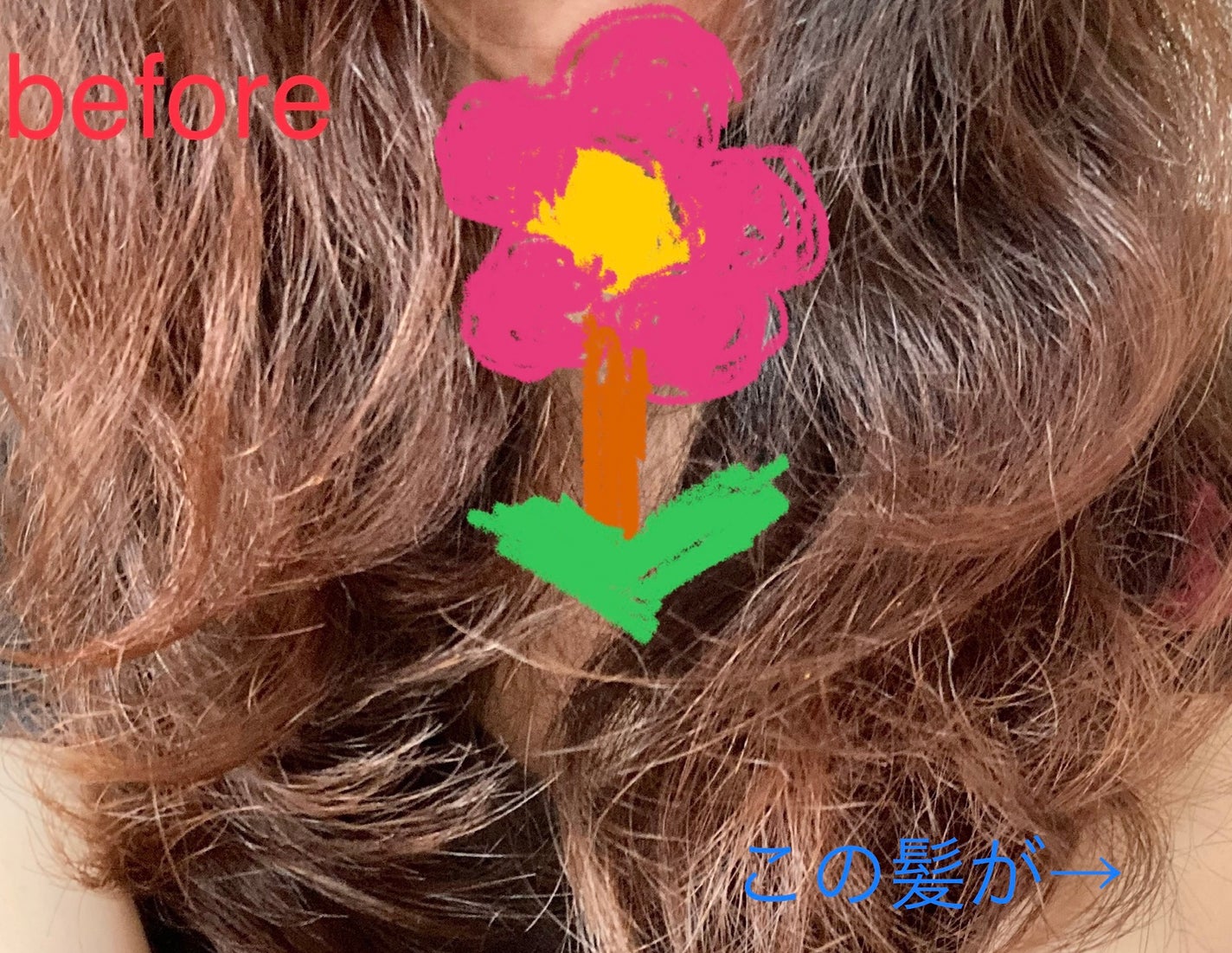 オイルインシャンプー/オイルインコンディショナー (グロス&リペア)/ディアボーテ/市販シャンプーを使ったクチコミ(3枚目)