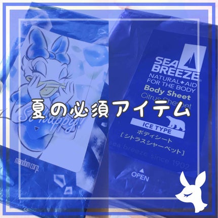 アイスタイプ ボディシート(シトラスシャーベット)/シーブリーズ/ボディシートを使ったクチコミ(1枚目)