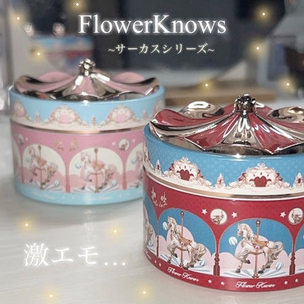サーカスシリーズ ルースパウダー/FlowerKnows/ルースパウダーを使ったクチコミ(1枚目)