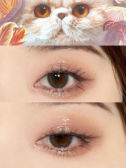 エクスプローラ12色 動物アイシャドウパレット/PERFECT DIARY/アイシャドウパレットを使ったクチコミ(6枚目)