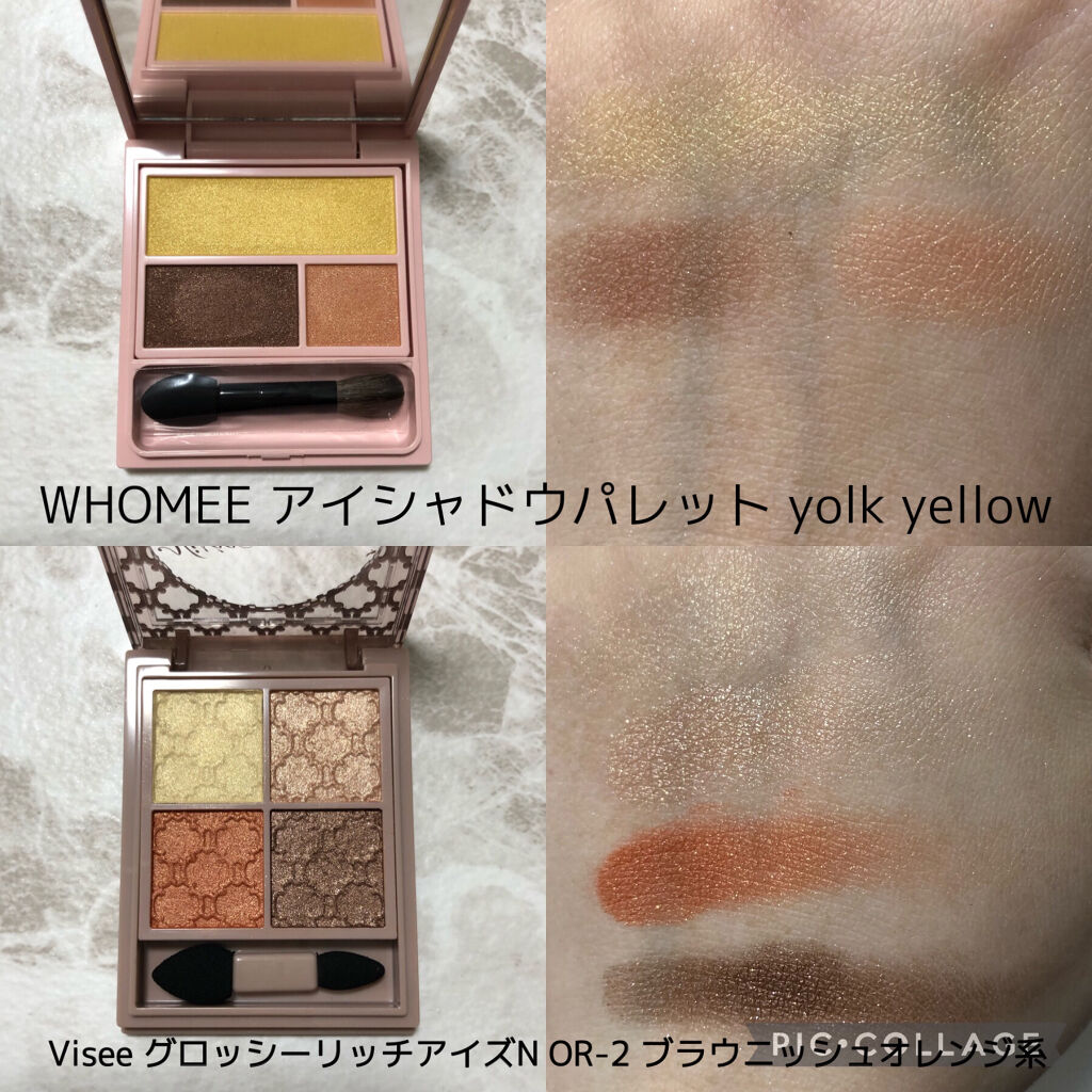 コンスピキュアス アイズ 09 ブルーブラウン（限定色）/Amplitude/アイシャドウパレットを使ったクチコミ（3枚目）