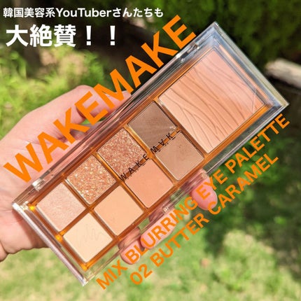 ミックスブラーリングアイパレット/wakemake/マルチパレットを使ったクチコミ(1枚目)