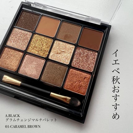 グラムチェンジマルチパレット/A.BLACK/マルチパレットを使ったクチコミ(1枚目)