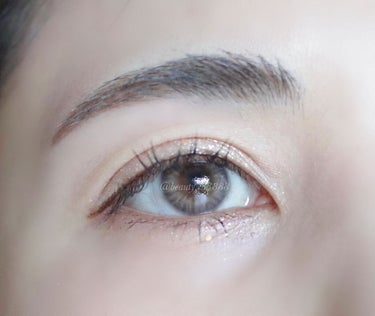 The Bella collection eyeshadow palette/CELEFIT/パウダーアイシャドウを使ったクチコミ（6枚目）