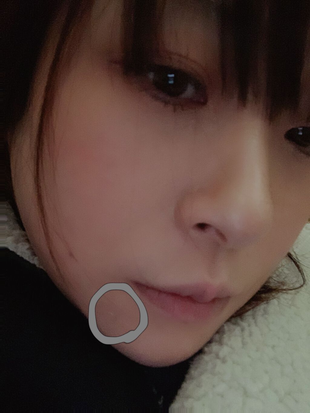 キールズ ハーバル トナー CL アルコールフリー ホリデイ限定エディション 250ml/Kiehl's/化粧水を使ったクチコミ（1枚目）