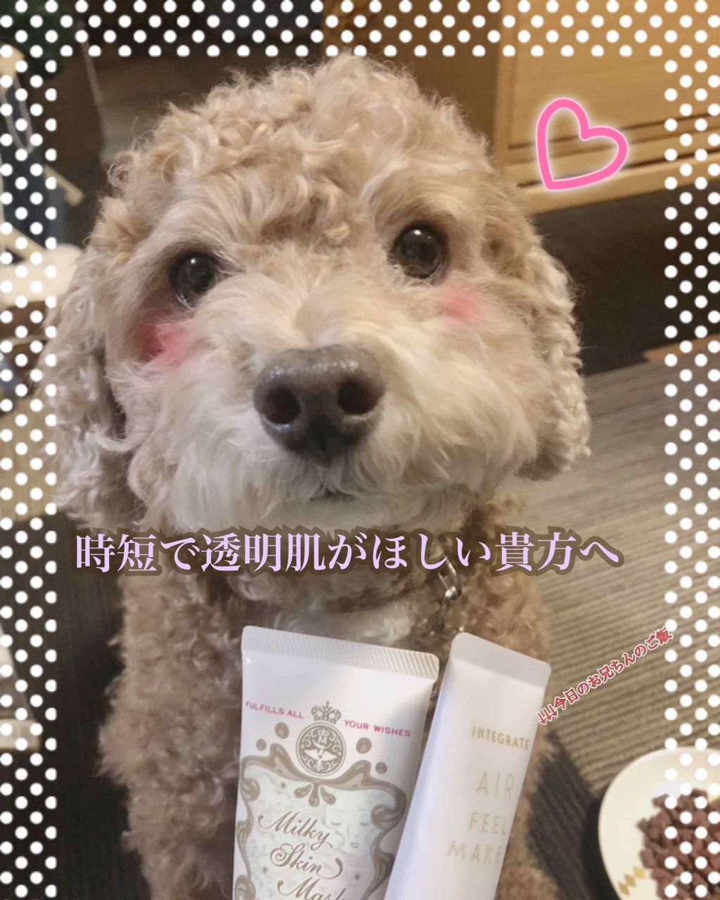 ミルキースキンマスク/MAJOLICA MAJORCA/化粧下地を使ったクチコミ（1枚目）