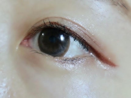 「密着アイライナー」ショート筆リキッド/デジャヴュ/リキッドアイライナーを使ったクチコミ(3枚目)