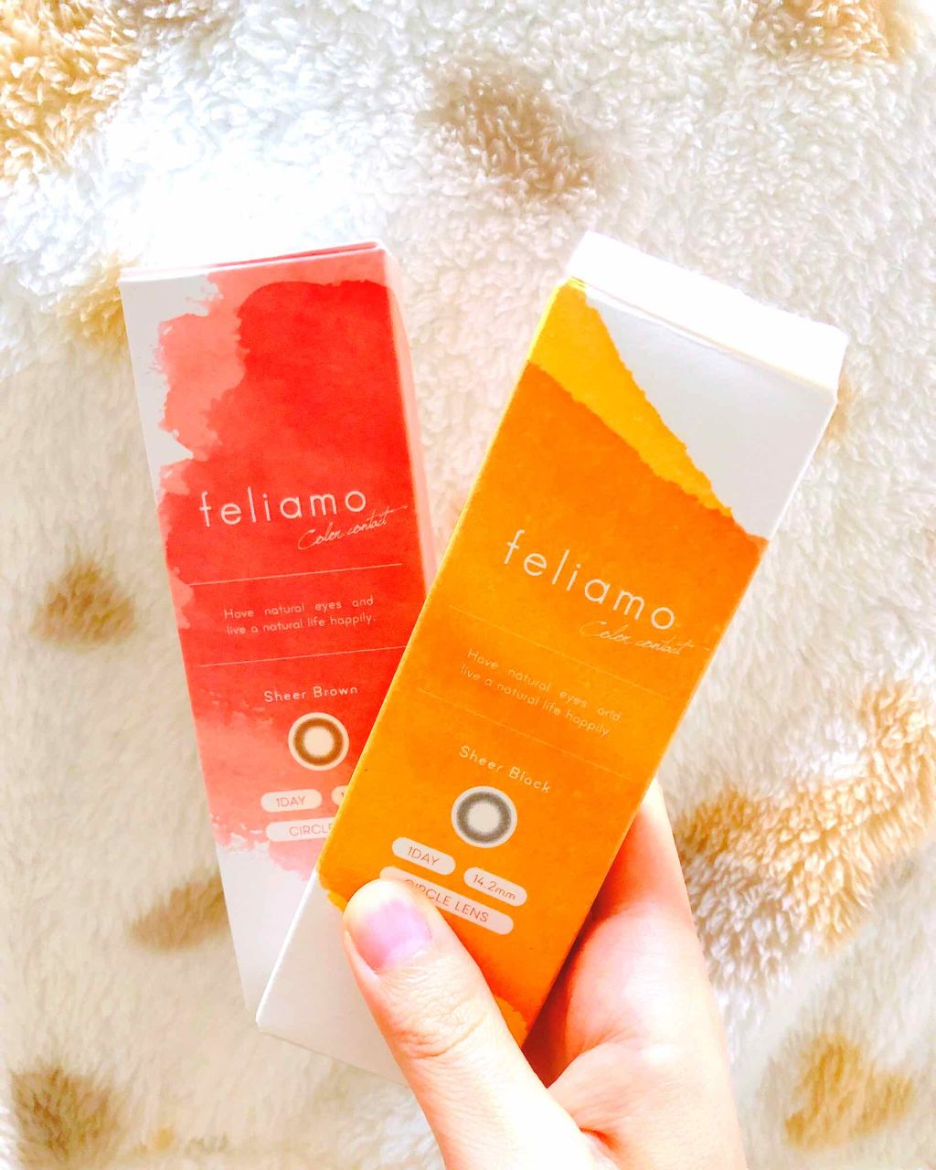 feliamo 1day/feliamo/ワンデー(1DAY)カラコンを使ったクチコミ(1枚目)