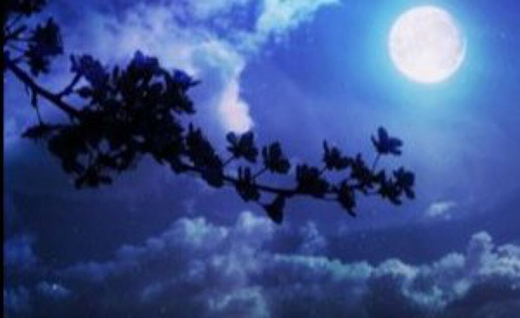 ふい on LIPS 「綺麗な写真..」(4枚目)