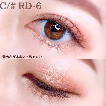 グロッシーリッチ アイズ N RD-6 ブラウニッシュレッド系/Visée/アイシャドウパレットの画像