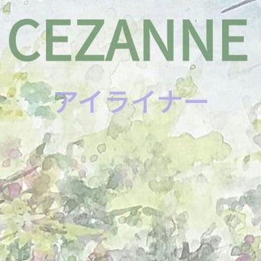 極細 アイライナーR/CEZANNE/リキッドアイライナーを使ったクチコミ（1枚目）