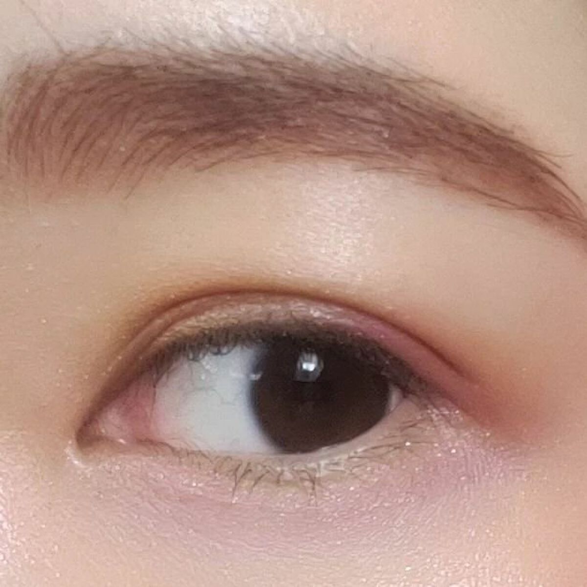 アイカラーレーション/LUNASOL/アイシャドウパレットを使ったクチコミ(3枚目)