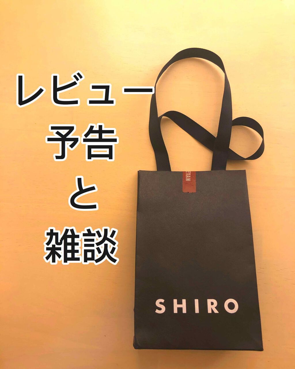 シルクハイライター/SHIRO/クリームハイライトを使ったクチコミ（1枚目）