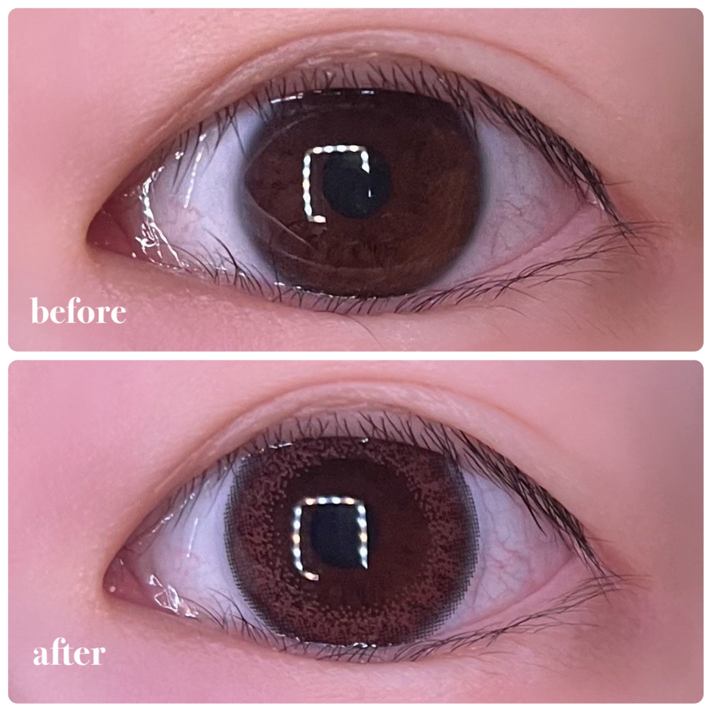 U.P.D. 1day/U.P.D./ワンデー(1DAY)カラコンを使ったクチコミ(3枚目)