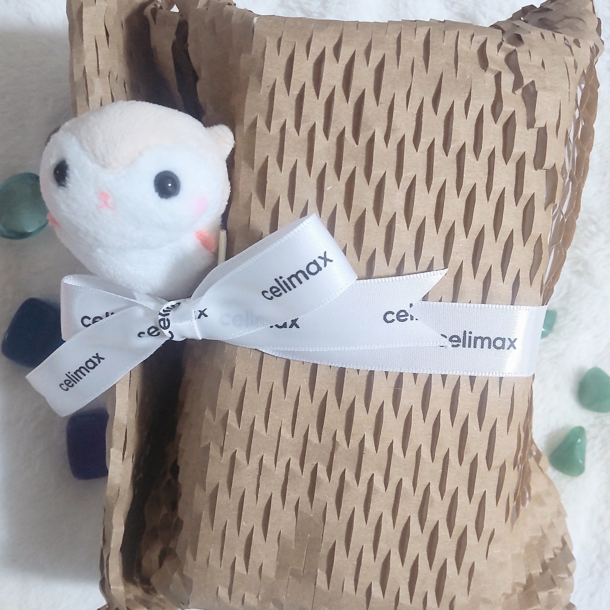 Noni Ampule/celimax/美容液を使ったクチコミ（1枚目）