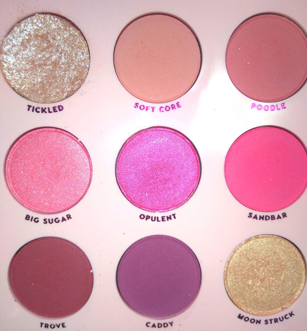 shadow pallet ooh la la!/ColourPop/アイシャドウパレットを使ったクチコミ(1枚目)