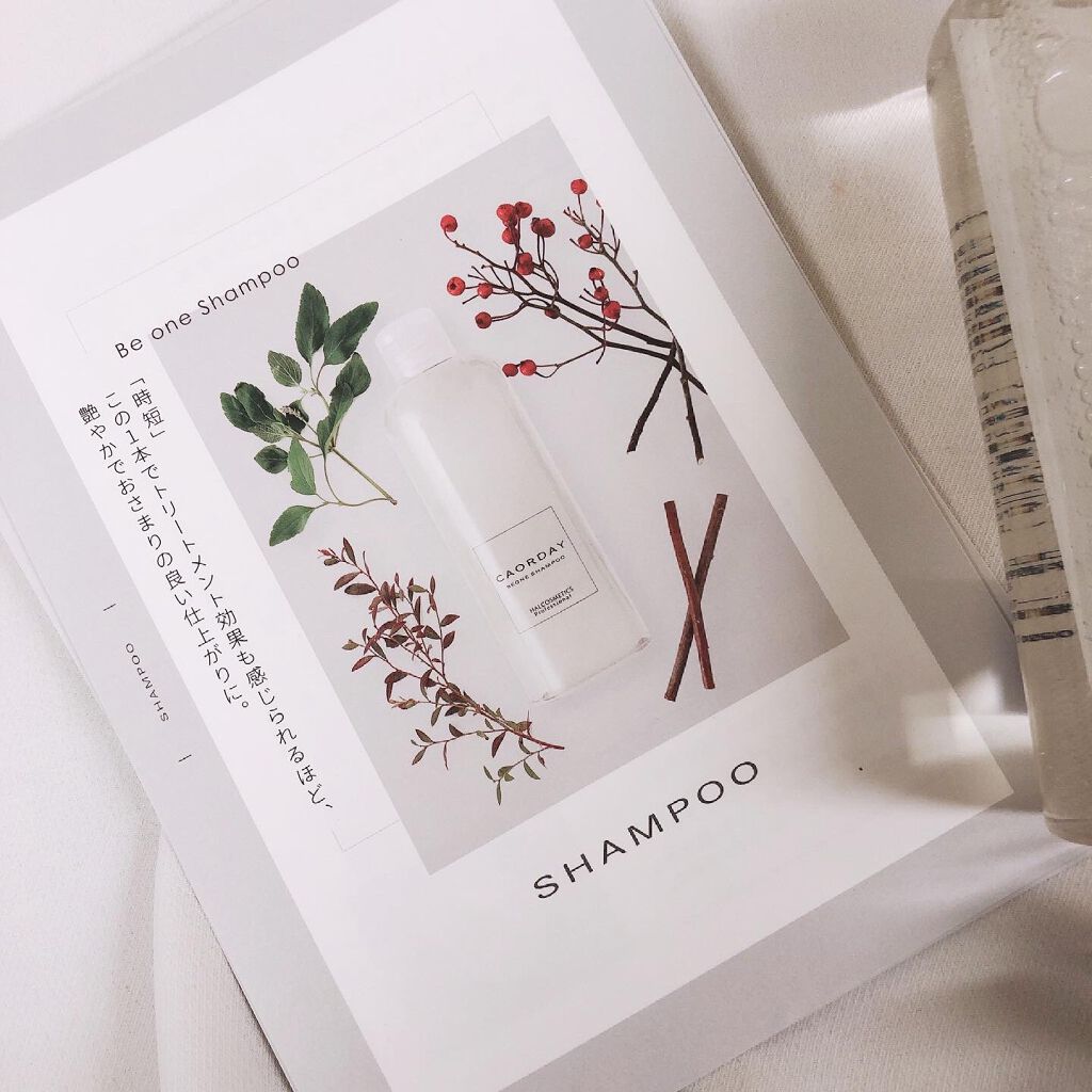 カオルデイ ビーワンシャンプー/ハル コスメティックス/市販シャンプーを使ったクチコミ（2枚目）