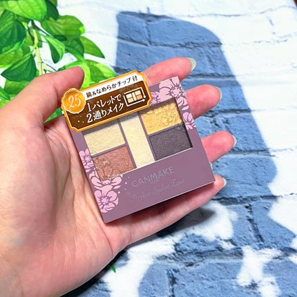 パーフェクトスタイリストアイズ/キャンメイク/アイシャドウパレットを使ったクチコミ(9枚目)