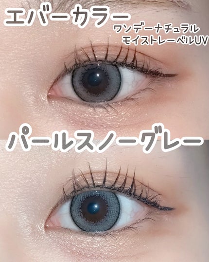 エバーカラーワンデー ナチュラル/エバーカラー/ワンデー(1DAY)カラコンを使ったクチコミ(1枚目)