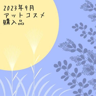 朝用ふき取り化粧水シート しっとりタイプ/ズボラボ/拭き取り化粧水を使ったクチコミ（1枚目）