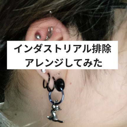 変形 インダストリアル チェーン/凛(RIN)/その他を使ったクチコミ(1枚目)