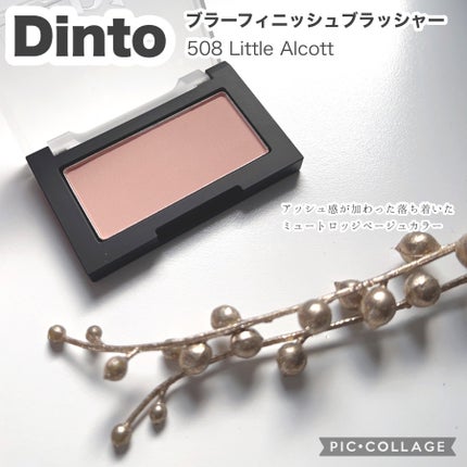 ブラーフィニシュブラッシャー/Dinto/パウダーチークを使ったクチコミ(2枚目)