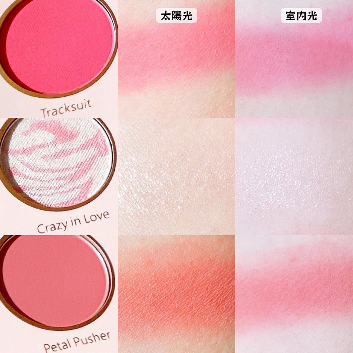 Eye Candy アイパレット/SHEGLAM/アイシャドウパレットを使ったクチコミ(6枚目)