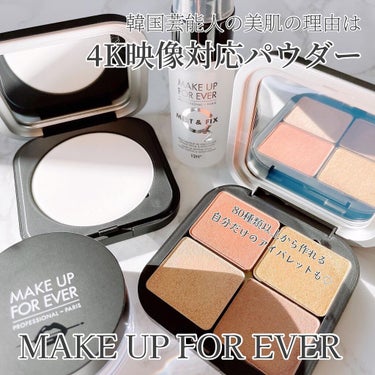 アーティストカラーシャドウ/MAKE UP FOR EVER/アイシャドウパレットを使ったクチコミ（1枚目）