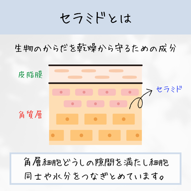 ちむ on LIPS 「知ってると役に立つ美容成分情報!コスメコンシェルジュの美容成分..」（2枚目）