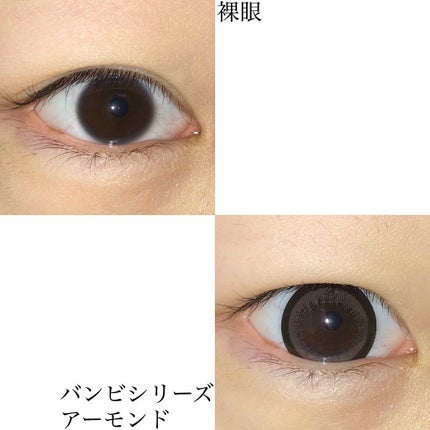 Angelcolor Bambi Series 1day /AngelColor/ワンデー(1DAY)カラコンを使ったクチコミ(4枚目)