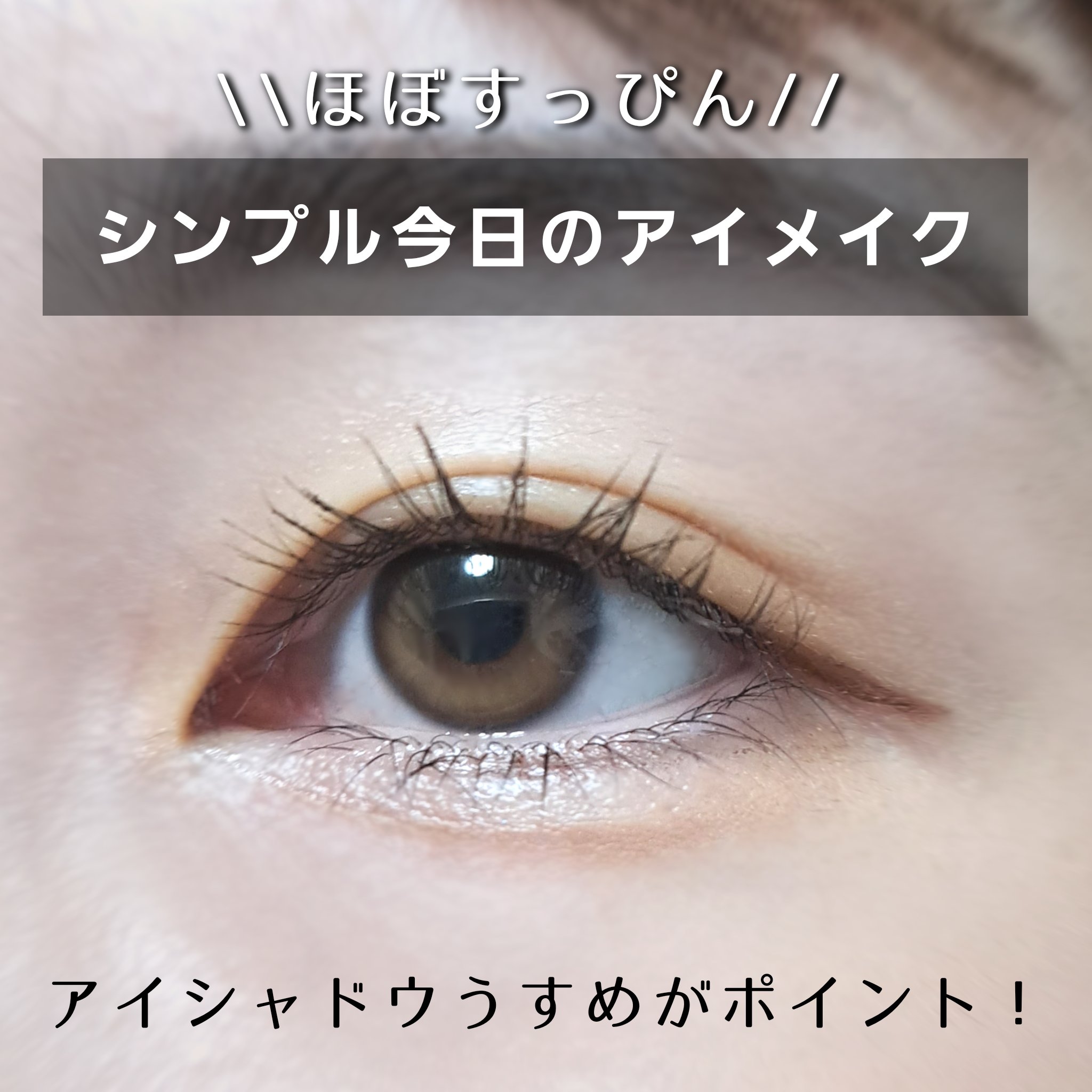 麻雀アイシャドウ/和粧/単色アイシャドウを使ったクチコミ（1枚目）