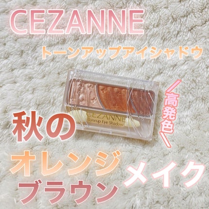 トーンアップアイシャドウ/CEZANNE/アイシャドウパレットを使ったクチコミ(1枚目)