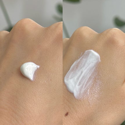 白樺水分uvクリーム/ROUND LAB/日焼け止めクリームを使ったクチコミ(2枚目)