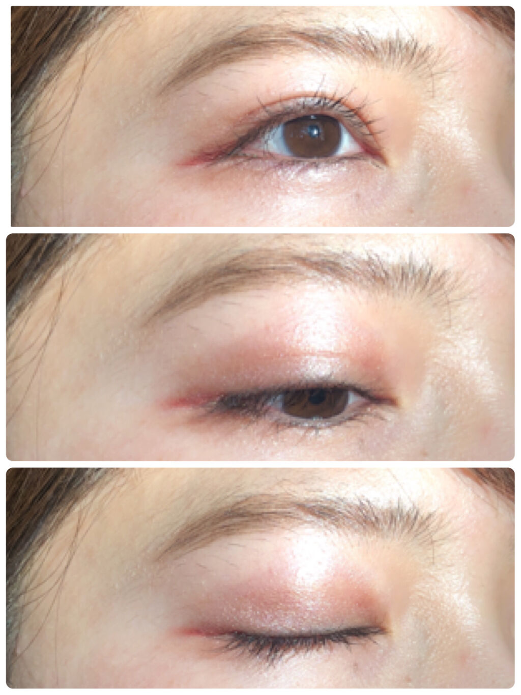 AC カラーアイパレット/AC MAKEUP/アイシャドウパレットを使ったクチコミ（2枚目）