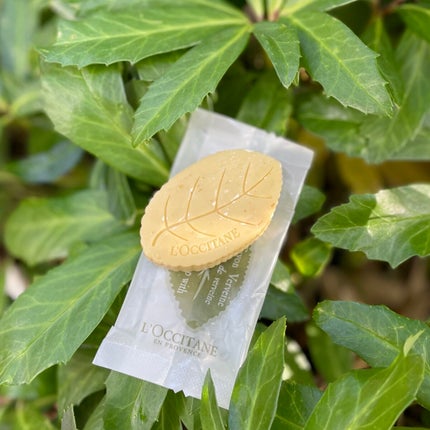 ヴァーベナ リーフソープ/L'OCCITANE/ボディ石鹸を使ったクチコミ(1枚目)