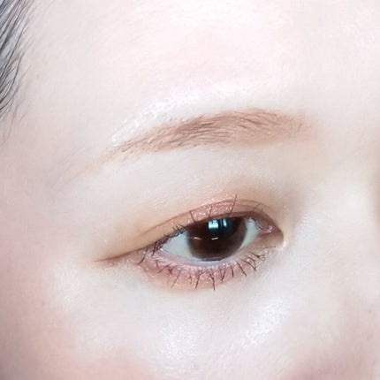 パノラマデザイン アイパレット/Visée/アイシャドウパレットを使ったクチコミ(6枚目)