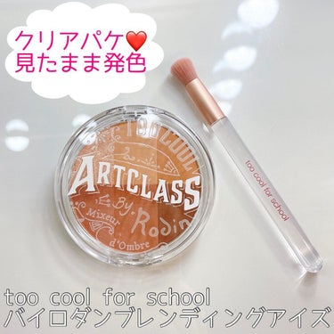 ARTICLASS BLENDING EYES/too cool for school/アイシャドウパレットを使ったクチコミ（1枚目）