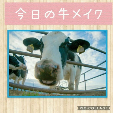 こんにちは、牛子です。
最近は涼しくなってすごしやすくなりましたね。
もう夏も終わりかな？

今日は処分したと思っていたメイベリンのパレットがコスメ収納の普段開けない引き出しから出てきたので久しぶりに使