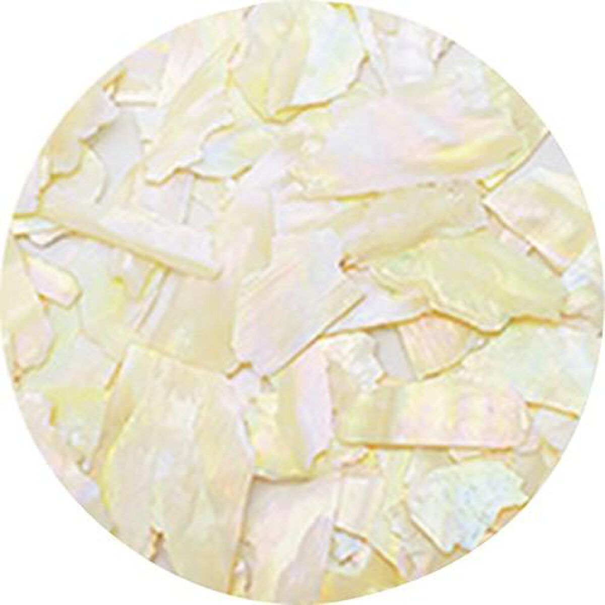 ナチュラルビーチシェル BZ10 アイボリーオパール