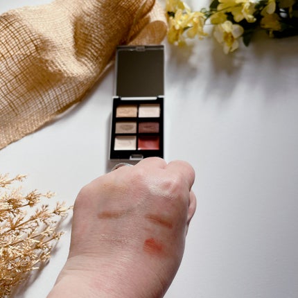 MY MIXED PALETTE 6色カスタムパレット/MN/マルチパレットを使ったクチコミ(3枚目)