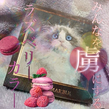 アイシャドウ猫シリーズ シャム猫/Venus Marble(ヴィーナスマーブル）/パウダーアイシャドウの画像