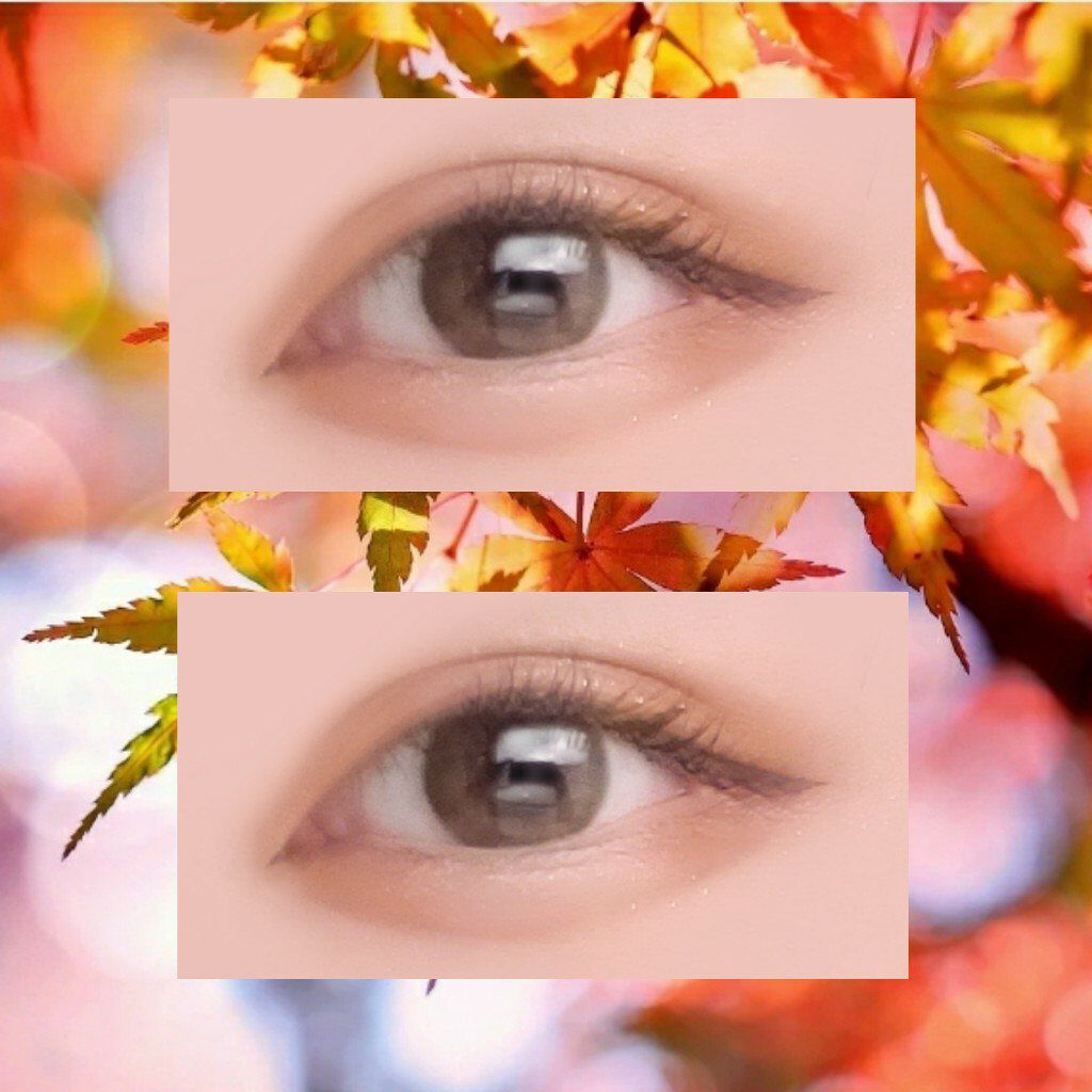 トーンアップアイシャドウ/CEZANNE/アイシャドウパレットを使ったクチコミ(6枚目)